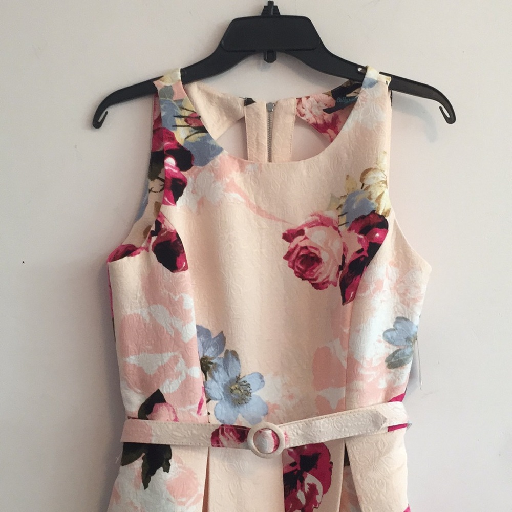 GABBY SKYE NEW DRESS. BEAUTIFUL FOR SPRING